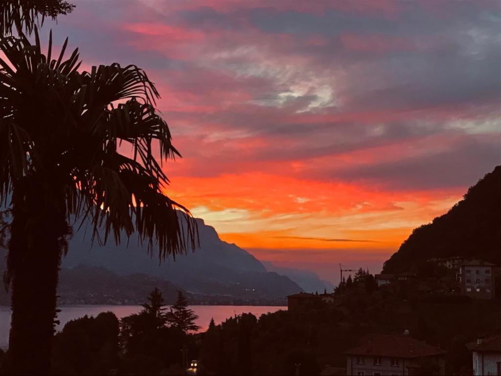 Villa Mojana Bellagio Oliveto Lario Dış mekan fotoğraf
